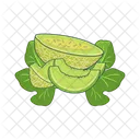 Cantalupo Icon