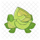 Cantalupo Icon