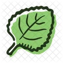 Leaf Melissa Plant Icon