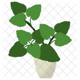 Melissa Potted Plant  Icon