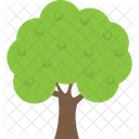 Albero di mele  Icon