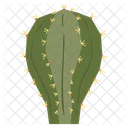 Melocactus Cactus Succulent Icon