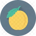 Melocoton Albaricoque Fruta Icono