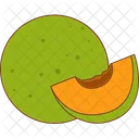 Melon Fruit Fresh Icon