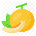 Melon Food Fruit Icon