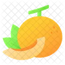 Melon Food Fruit Icon