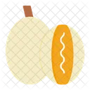 Melon Melon Organico Icon