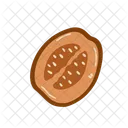 Melon Fruit Food Icon