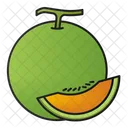 Melon Tropical Fruit Icon