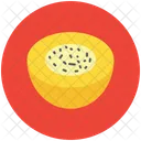 Melon Round Cantaloupe Icon