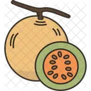 Cantalupo  Icono