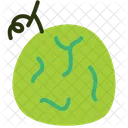 Melon Fruit Food Icon