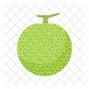 Melon Fruit Food Icon