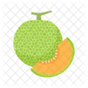 Melon Fruit Food Icon