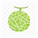 Melon Fruit Food Icon