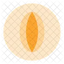 Melon Melon Organico Icon