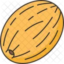 Melon  Icon