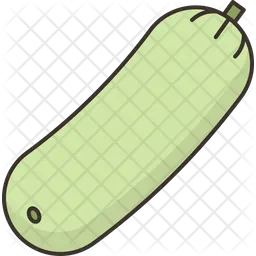 Melon  Icon