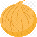 Melon Casaba Muskmelon Icon