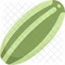 Melon Oriental Pickling Icon