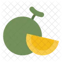 Melon Fruit  Icon