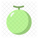 Melon Fruit Food Icon