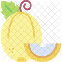 Melon  Icon