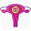 Menopause Climacteric Uterus Icon