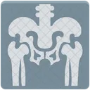 Rippen Radiologie Rontgenuntersuchung Symbol