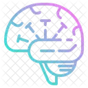 Menschliches Gehirn Mensch Gehirn Icon
