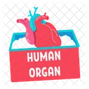 Menschliches Organ zur Transplantation  Symbol