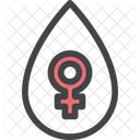 Menstruacion Mujer Hembra Icono