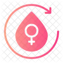Menstrual Cycle Menstruation Ovary 아이콘