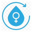 Menstrual Cycle Menstruation Ovary Icon