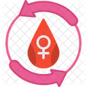 Menstruation  Icon