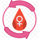 Menstruation  Icon