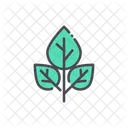 Menthol Leaves Leaf Leaves Icon