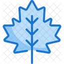 Meple Leaf  Icon