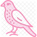 Merlin Bird Falcon Icon
