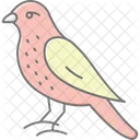 Merlin Bird Falcon Icon