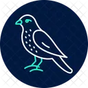 Merlin Bird Falcon Icon