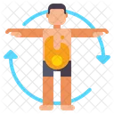 Metabolism  Icon