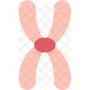 Metacentric Chromosome Centromere Icon
