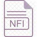 Nfi Fichier Format Icon