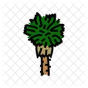 Mexican Fan Palm Icon