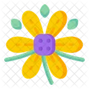 Mexican Flower  Icon