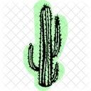 Cactuscolor Icon