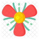 Mexican Shellflower  Icon