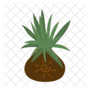 Miagos bush  Icon