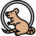 Mice Rodent Fauna Icon